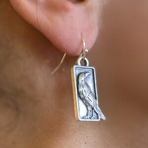 Striking silver raven/crow earrings. Brass core, silver plated.
